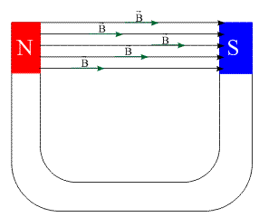 Image result for bussola fisica