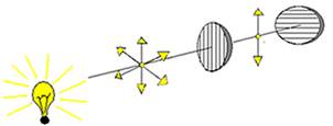 Image result for polarizacao fisica