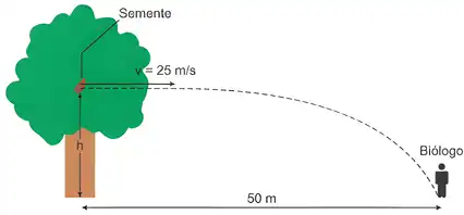 Imagem da questão 9 sobre teoria
