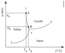 Imagem da resolução da questão 8 sobre teoria