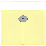 Imagem da questão 10 sobre teoria