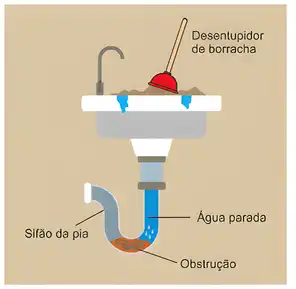 Imagem da questão 7 sobre teoria