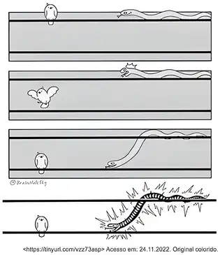 Imagem da questão 3 sobre teoria