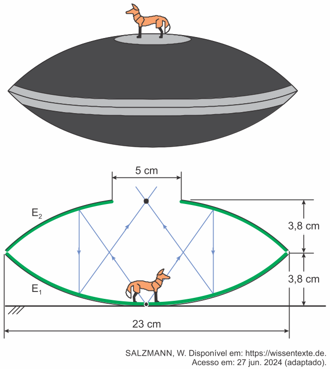 Imagem da questão 10 sobre Raios particulares