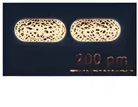 HUANG, J-S. et al. Atominally Flat Single-Crystalline Gold Nanostructures for Plasmonic Nanocircuits. Nature Commun., n. 1, 2010 (adaptado).