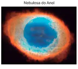 (https://ioal.uf.pt)
