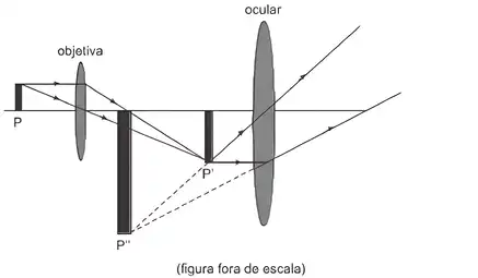 Imagem da questão 4 sobre teoria