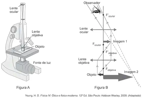 Imagem da questão 7 sobre teoria