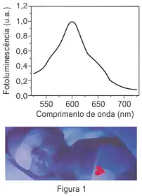 Imagem da questão 8 sobre teoria