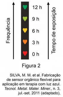 Imagem da questão 8 sobre teoria