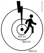 Imagem da questão 5 sobre teoria